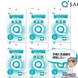 L[TC Pʋ 14{ 6܂܂Ƃߔ NhN N _ Tvg Pʋ Tv   Tvg LEq_ Tv _ۈ  pE_[ ݂