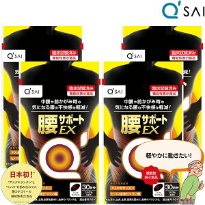 L[TC T|[gEX 315mg×90 4܂܂Ƃߔ AX^LT` qnc ؓ ؗ  s Tvg