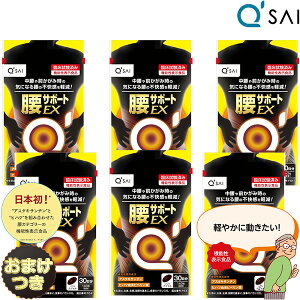 L[TC T|[gEX 315mg×90 6܂܂Ƃߔ ܂ AX^LT` Tv  Tvg ɂ @\\Hi Tv qnc ؓ ؗ  s