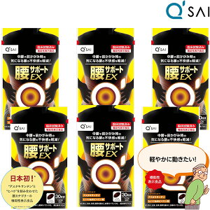 L[TC T|[gEX 315mg×90 6܂܂Ƃߔ AX^LT` qnc ؓ ؗ  s Tvg