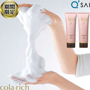 y17OFFubNtCf[Ԍz L[TC Rb` tFCXEHbVCC R[Qzet 120g 2{܂Ƃߔ I[C Ae Y D XLPA 