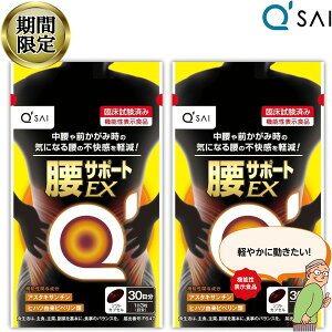 y16OFFubNtCf[Ԍz L[TC T|[gEX 315mg×90 2܂܂Ƃߔ AX^LT` Tv  Tvg ɂ qnc y \tgJvZ ؓ ؗ 