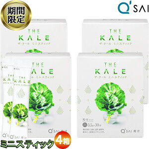 y25OFF yVX[p[SALE Ԍz L[TC `  P[` ~jXeBbN3.5g×30{ 4܂Ƃߔ N ` NhN   ` h{⏕Hi NHi 