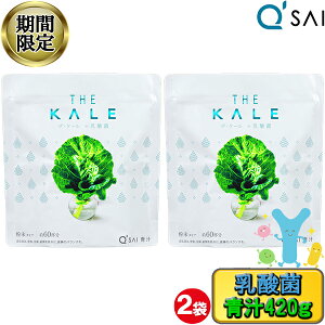 y20OFF yVX[p[SALE Ԍz L[TC `  P[` + _ 420g 2܂܂Ƃߔ  Pʋ pE_[ X[p[t[h _ۈ NhN  N 