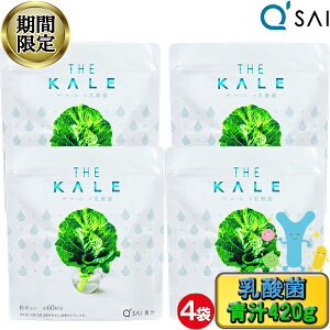 y27OFF yVX[p[SALE Ԍz L[TC ` P[ _  420g 4܂܂Ƃߔ NW[X P[` ؃W[X _ۓ ` L@ _ۈ