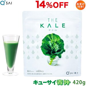 y|Cg5{ ԌzL[TC ` P[  420g ܂t