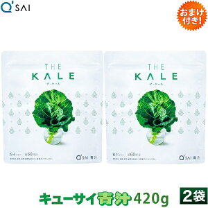 y|Cg5{ ԌzL[TC ` P[  420g 2܂܂Ƃߔ ܂