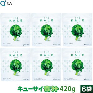 L[TC ` P[  420g 6܂܂Ƃߔ