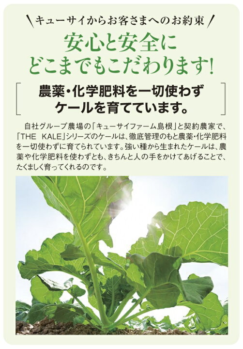 楽天市場】キューサイ 青汁 ザ・ケール 乳酸菌 青汁 粉末 420g 2袋 