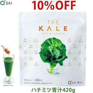 L[TC ݂͂ ` P[ n`~c  420g