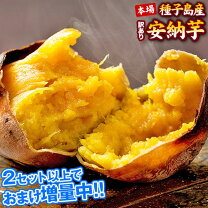 楽天市場】安納 芋 激安 訳 あり（食品）の通販