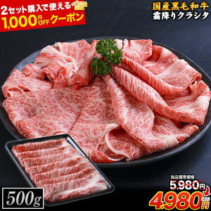 y27܂1000~5980~4980~zјa ~ NV^  500g ؂藎Ƃ [X XCX Ă  Ԃ  BY Y   a [X ܂Ƃߔ sI