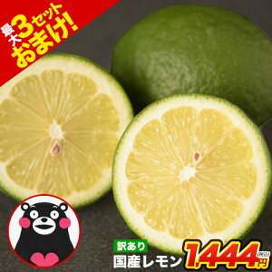 Y  󂠂 1.5kg  yő4.5kg܂ʁzBY X{ Og TCYsI t[c EG  s[ s1-5cƓȓɔ\t