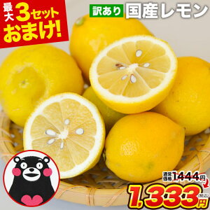 Y  󂠂 1.5kg  yő4.5kg܂ʁzBY X{ Og TCYsI t[c EG  s[ s1-5cƓȓɔ\t