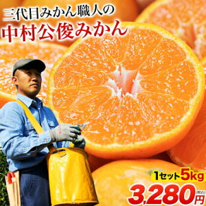 3 ݂El  r ݂ Ղ 5kg   F{Y S-LTCY YҁFr B ʕ k Yn Hi   i  ʔ ~J  t