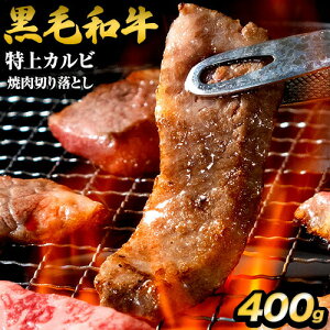 јa Jr 400g ؂藎Ƃ Y  ܂Ƃߔ ē   JrsI̔[ȓɔt