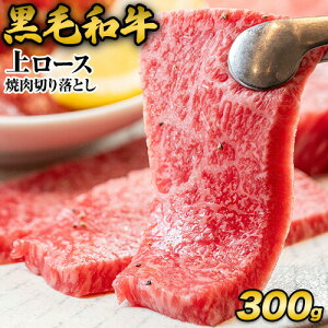 јa  [X ē ؂藎Ƃ 300g ēp ē   Y u[X T[C  sI̔[ȓɔt