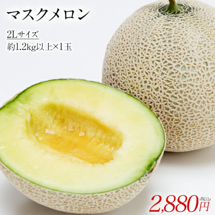 楽天市場 九州産 秀品 マスクメロン 2lサイズ 1玉 お歳暮 御歳暮 帰省暮 ご贈答 お年賀 御年賀 フルーツ ギフト メロン 送料無料 高級 熨斗 のし 健康ギフト プレゼント 実用的 快気祝い 7 14営業日以内に出荷予定 土日祝日除く 九州風土 楽天市場店 楽天市場 九州産 秀品 マスクメロン 2lサイズ 1玉 お歳暮 御歳暮 帰省暮 ご贈答 お年賀 御年賀 フルーツ ギフト メロン 送料無料 高級 熨斗 のし 健康ギフト プレゼント 実用的 快気祝い 7 14営業日以内に出荷予定 土日祝日除く 九州風土 楽天市場店