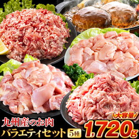 【新商品発売！】総重量1,720g! お肉5種 バラエティセット 肉 豚肉 鶏肉 ハンバーグ 5種 大容量 福袋 切り落とし 豚ミンチ 国産 豚 ミンチ うまかチキン 若鶏 モモ肉 むね肉 デミグラス 《4月下旬頃～5月中旬頃出荷予定》