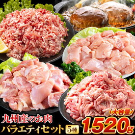 総重量1,520g! お肉5種 バラエティセット 肉 豚肉 鶏肉 ハンバーグ 5種 大容量 福袋 切り落とし 豚ミンチ 国産 豚 ミンチ うまかチキン 若鶏 モモ肉 むね肉 デミグラス 《配送予定に記載の日程でお届け》 ||