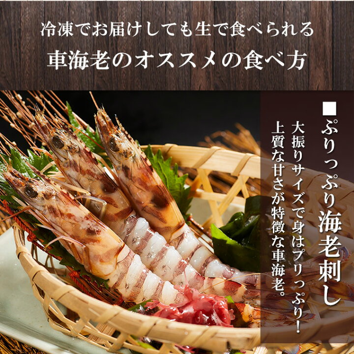 送料無料 千寿 150g 3袋セット 国産 熊本天草産車えび使用 出汁