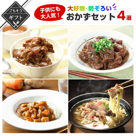 【ポイント3倍&クーポン配布中】 冬ギフト 子供に人気のおかずセット 詰め合わせ カレー ラーメン 煮物 送料無料 2023 高級 食べ物 手土産 常温 夏 会社 職場 小分け グルメ