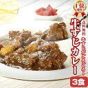 【送料無料】2セット購入で辛味スパイスプレゼント!牛すじ カレー 200g×3パック レトルトカレー スパイス カレールー ポイント消化 カレー粉 ギフト ご当...