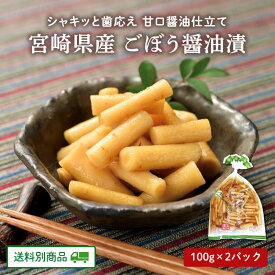 【クーポン配布中】ありがとうショップ九州のごちそう便 宮崎県産 ごぼう醤油漬 100g x 2袋 九州のごちそう便 お土産 ギフト 贈り物 健康 ヘルシー 美容 地元グルメ 常温保存 送料別　6月特集号