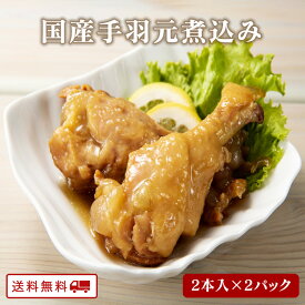 【クーポン配布中】ありがとうショップ九州のごちそう便 国産手羽元煮込み 2本入り x 2パック 特製味噌ダレ 長期保存 メール便 2本入り x 2パック 味噌漬け おつまみ ギフト 常温 お取り寄せグルメ 九州 酒の肴 送料無料
