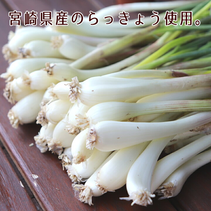 お買得】 甘らっきょう×1 お漬物 ピリ辛らっきょう×1 低温熟成らっきょう お買得】 甘らっきょう×1 お漬物 ピリ辛らっきょう×1 低温熟成らっきょう