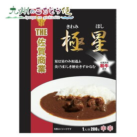 【クーポン配布中】極星カレー （佐賀県産和牛） 200g 2個セット 極星 カレー 佐賀 和牛 黒毛 佐賀商業 和牛カレー スパイス 上質 高級 中辛 レトルト ご当地 九州 お土産 ギフト プレゼント 贈り物 お礼 産地直送