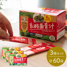 青汁 乳酸菌 100億個 20袋×3箱セット こども 青汁 個包装 国産 大麦若葉 明日葉 ケール ゴーヤ 栄養補助 ダイエット 子ども 食物繊維 野菜不足 健康 九州産 国内製造 飲みやすい 健康 ギフト 美容 粉末
