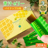 青汁ゼリー パイナップル味 ルテイン 10g×30本 青汁 国産 こども 乳酸菌 個包装 大麦若葉 酵素 セラミド…