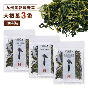 BY 卪t 3܃Zbg X`ɂ͂ [ T_ ݂тɂyۑH H [OXgbN ~ hCxWzgǐHi