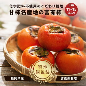 yzY ①xL` 1i11`15ʓj[2026N1菇\]