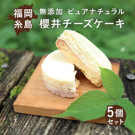 無添加 ピュアチーズケーキ 5個セット 櫻井チーズケーキ 福岡 糸島 手造り 工房 爽風