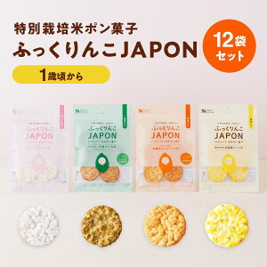 kCYʍ͔|ă|َq ӂJAPON 12܃Zbgiv[^P[^L@Ȃf[c^kCR[j