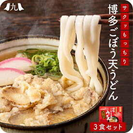 博多ごぼう天うどん 3人前 福岡 博多 博多うどん うどん ごぼう天 あごだし ごぼ天うどん 天ぷらうどん スープ うどんセット 九州 お取り寄せ グルメ ギフト プレゼント 贈り物 送料無料 内祝い お祝い 御礼 お歳暮 御歳暮