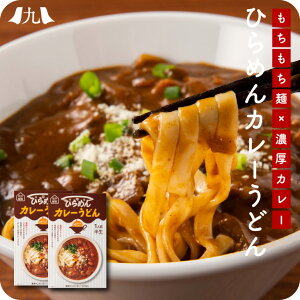 カレーうどん 「ひらめんカレーうどん」 カレー うどん 平麺 九州 お取り寄せ 福岡 2人前 ポスト投函 メール便 1000円 台 グルメ 送料無料