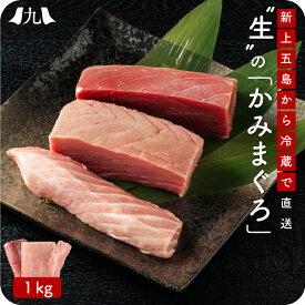 【上五島産生本まぐろ「かみまぐろ」1kg】 赤身（約400g） 中トロ（約500g）大トロ（約100g） 生 ブロック クロマグロ 長崎 刺身 マグロ 鮪 養殖 国産 海鮮 魚介 魚 とろ 冷蔵 ギフト 贈り物 高級 新鮮 未冷凍