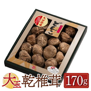 ʂǂ  170g  _ Y  ǂ ő _  VC^P ؍͔| ő ő ̂ B  O Mtg v[g 蕨  