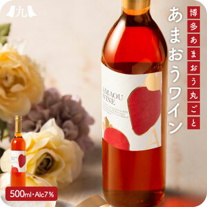 ܂䕃C 500ml  ʎ C C   B  O Mtg v[g 蕨  j j 