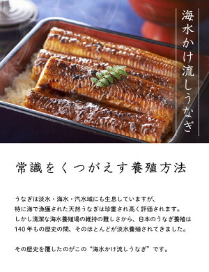楽天市場 くさみのない 希少うなぎ 国産 海水かけ流し うなぎ 蒲焼 450g 3尾 4尾 長崎県 松浦 ギフト 手土産 国産 鰻 ウナギ 蒲焼き 土用丑の日 冷凍 父の日 お中元 敬老の日 御歳暮 送料無料 九州お取り寄せ本舗