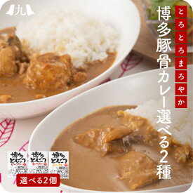 博多とんこつカレー 選べる2個セット 福岡 博多 屋台 ポスト投函 メール便 1000円 台 豚骨 とんこつ 豚肉 ポーク 牛肉 ビーフ チキン 鶏肉 九州 お取り寄せ グルメ ギフト プレゼント 贈り物 送料無料 内祝い お祝い 御礼