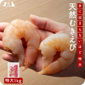 VRނCV TCY1kg Gr  ނ ԊCV N}Gr  CN p e Ⓚ Ɩp Aq[WBBQ Lv AEghA B  O Mtg v[g 蕨 