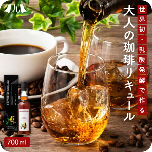 R[q[XyVe 25x 700ml Ē R[q[ L[  R[q[ Ē zWX B  O Mtg v[g 蕨  j j 