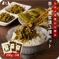 高菜 辛子高菜 恵み高菜漬3種セット（高菜漬 ごま油高菜 辛子高菜） ポスト投函 メール便 1000円台 買い…