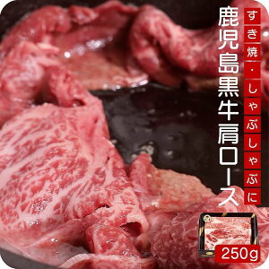 јa [X XCX 250gySa`sIz   Ă Ԃ   B  O Mtg v[g 蕨  j j  