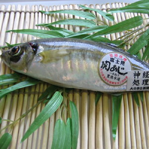 関アジ 魚の人気商品 通販 価格比較 価格 Com