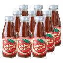 めぐみ会 とまとの里の贈りもの トマトケチャップ【甘口】385g×9本 送料無料 大分県荻町 お母さん達の手作り エムナ…